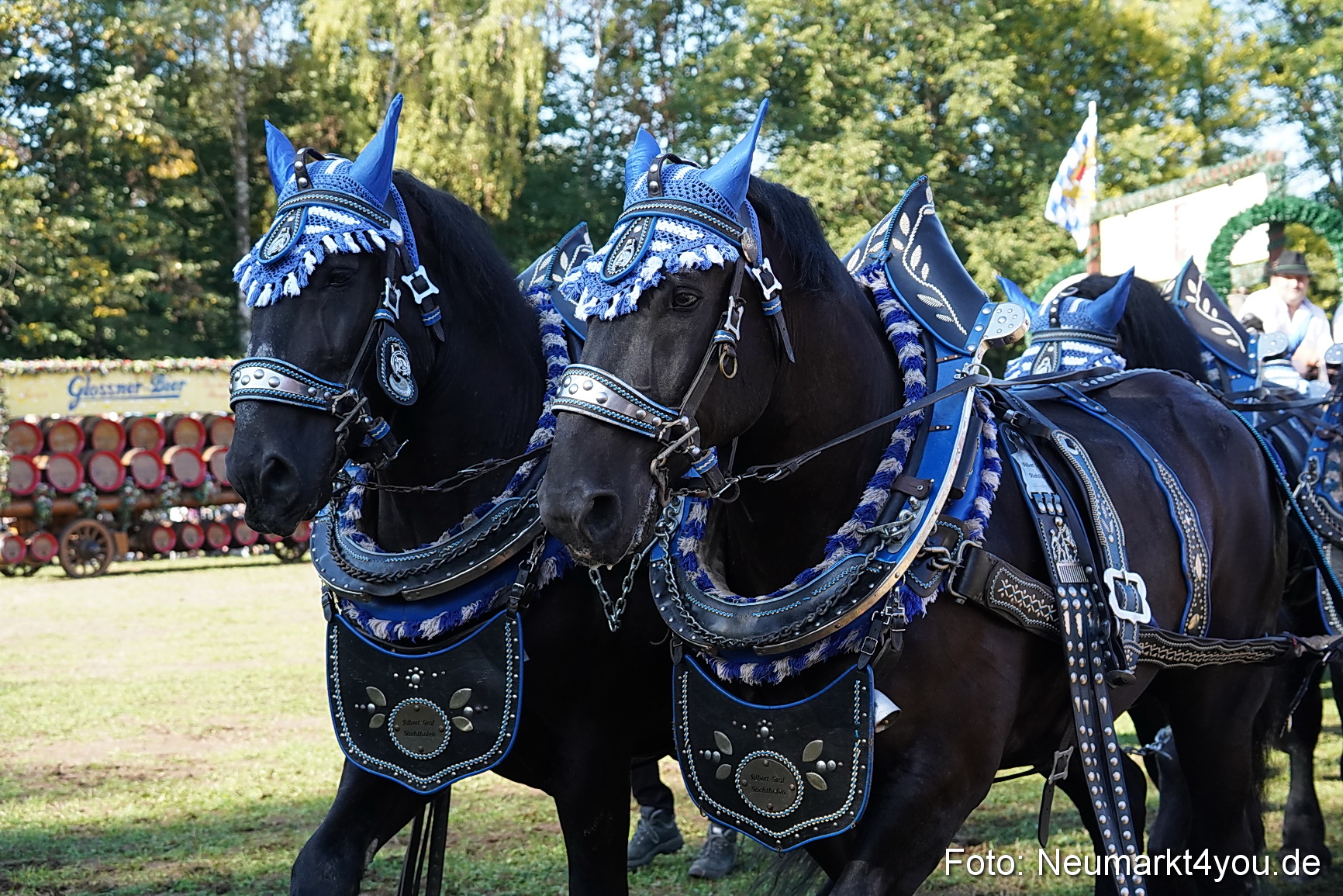 Pferde und Fohlenschau 2022 0050 